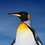 Steven_Raith